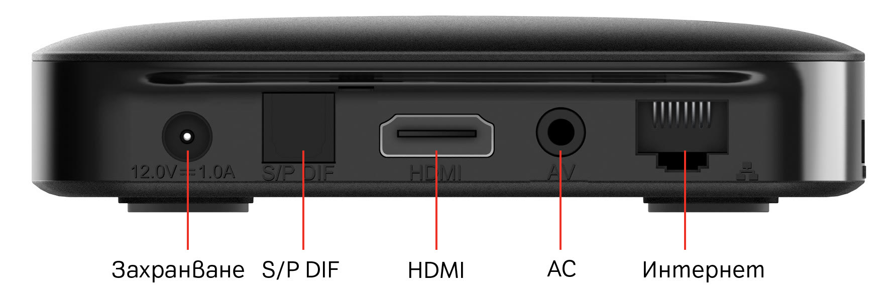 Back_panel_sdmc