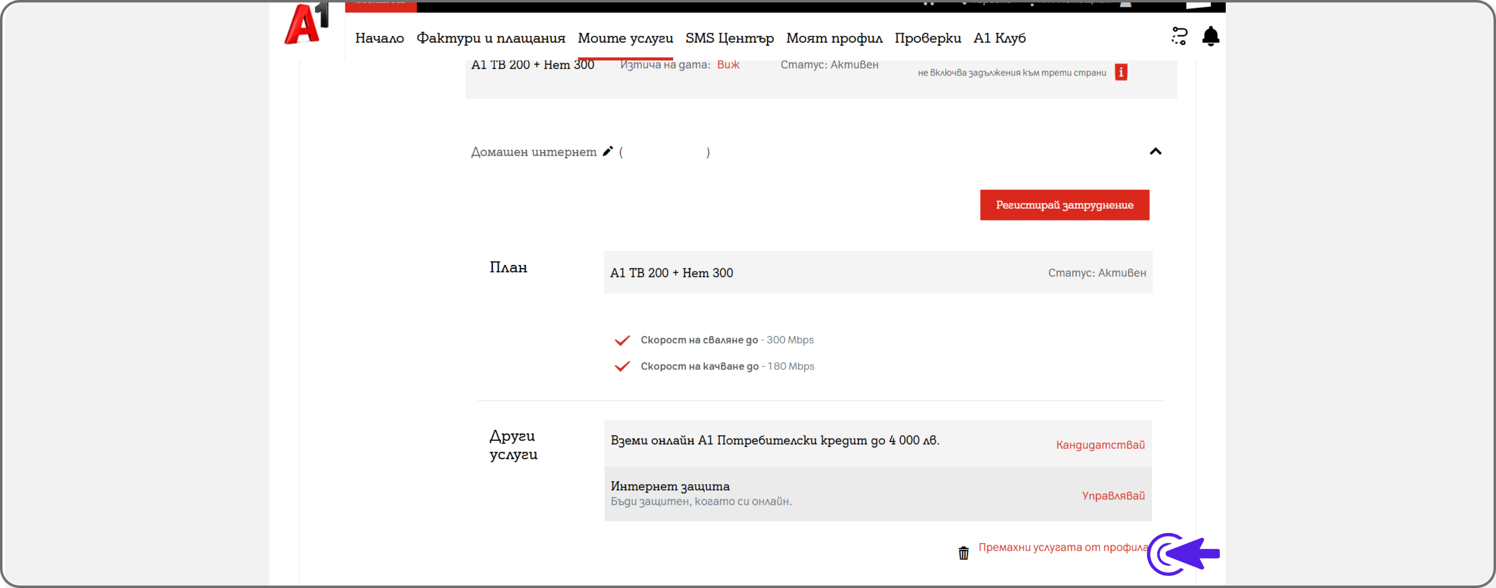 My-A1-del-web8