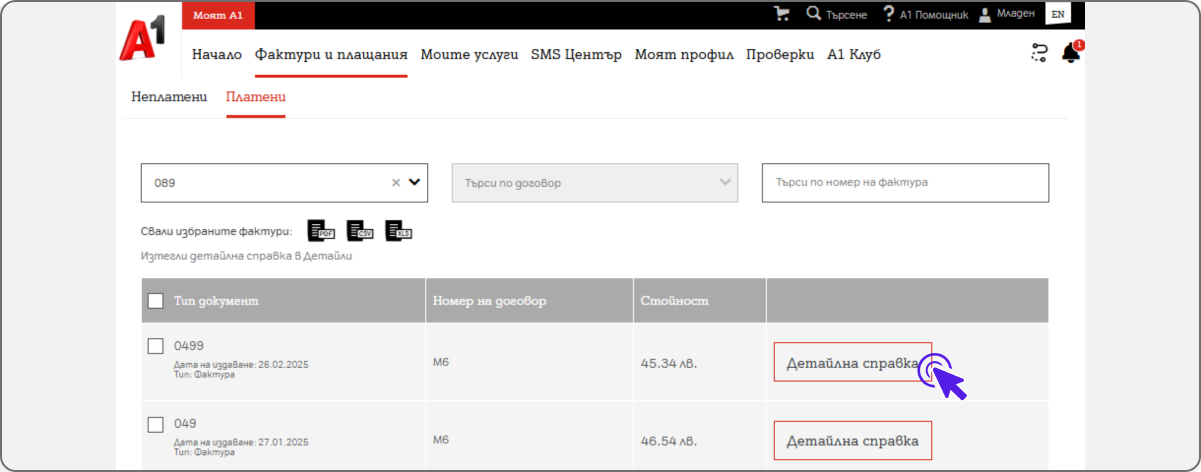 invoice-web10