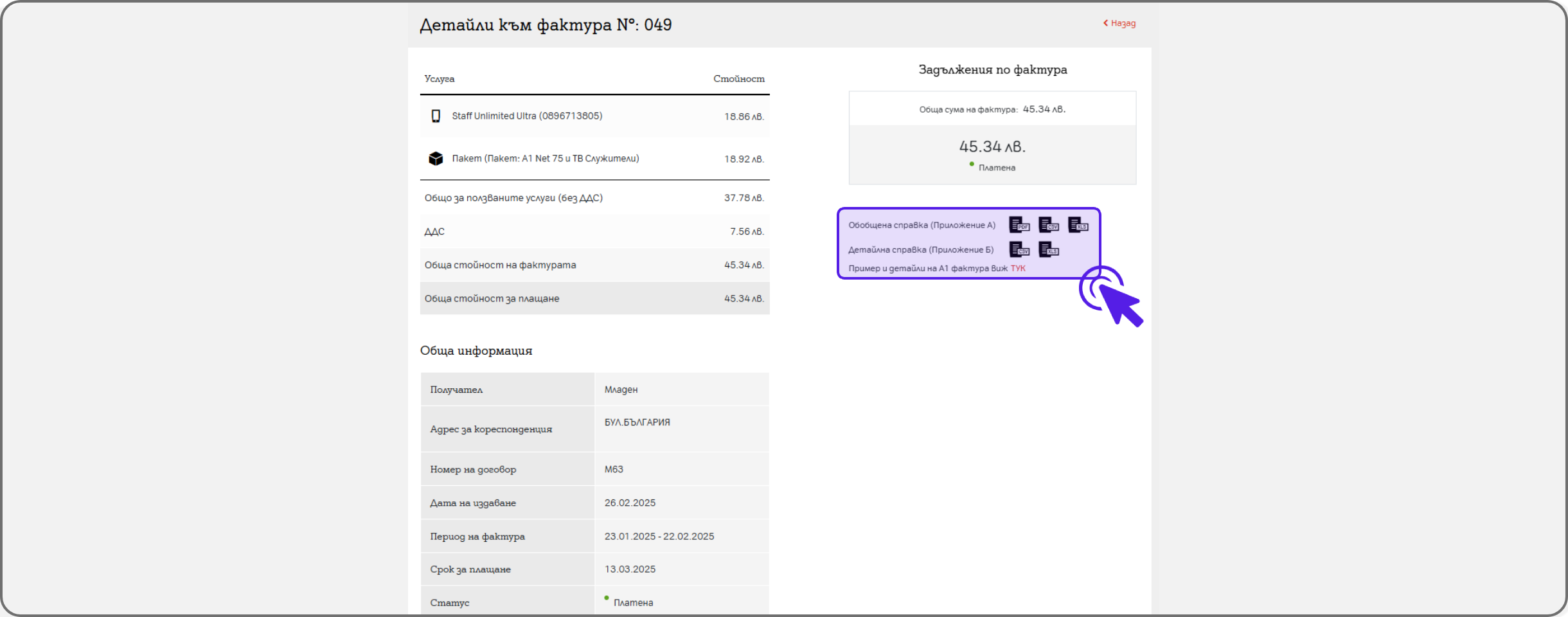 invoice-web11