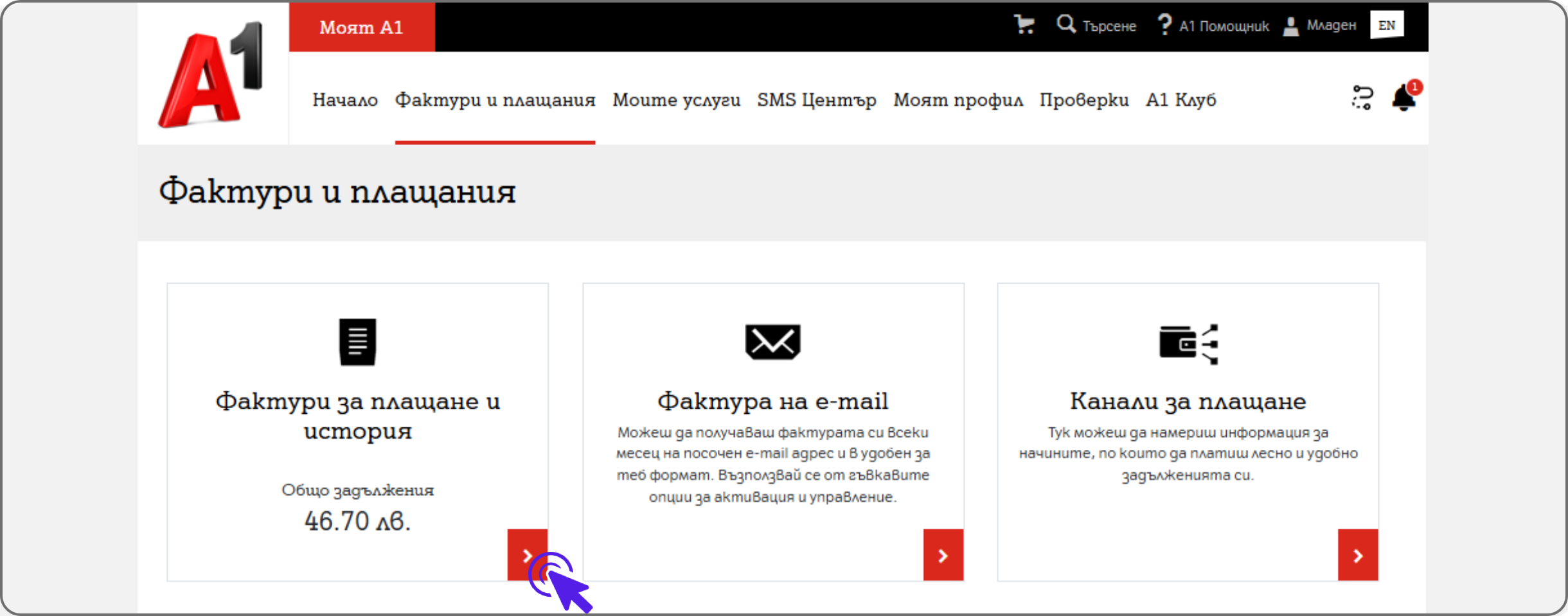 invoice-web2