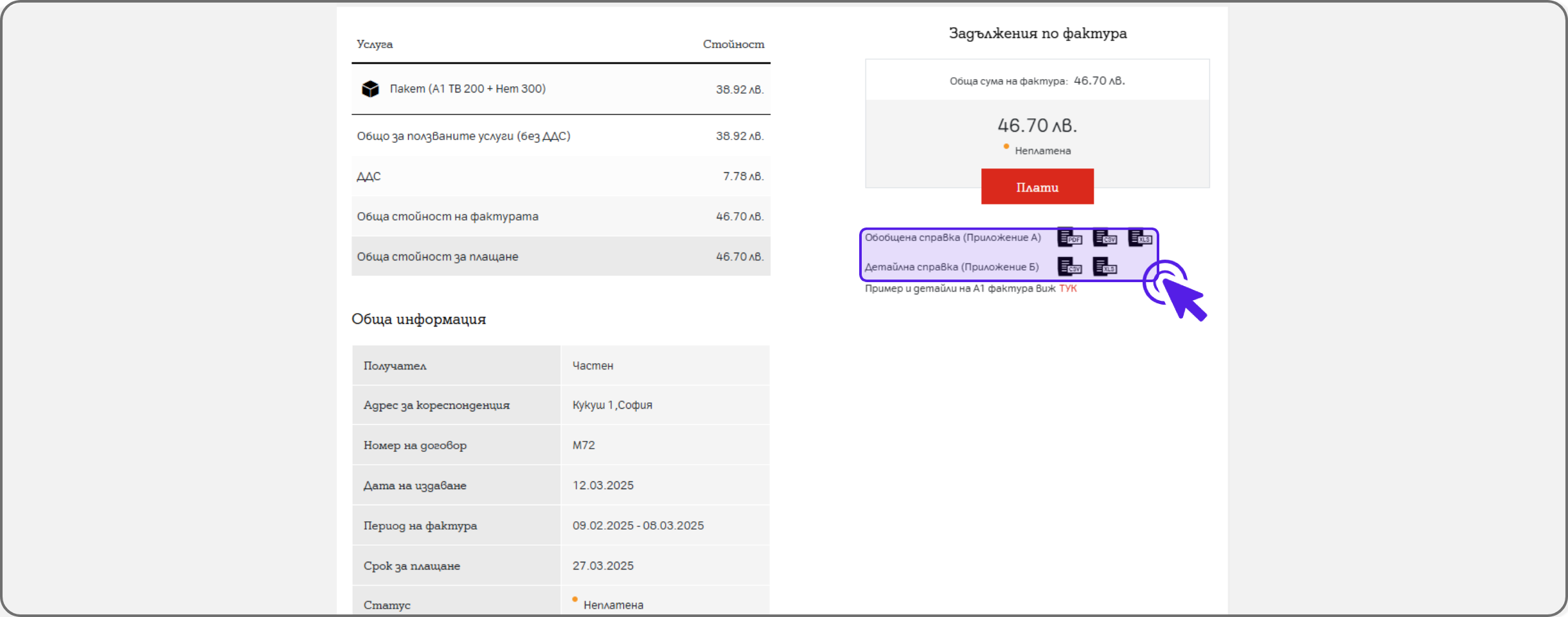 invoice-web4