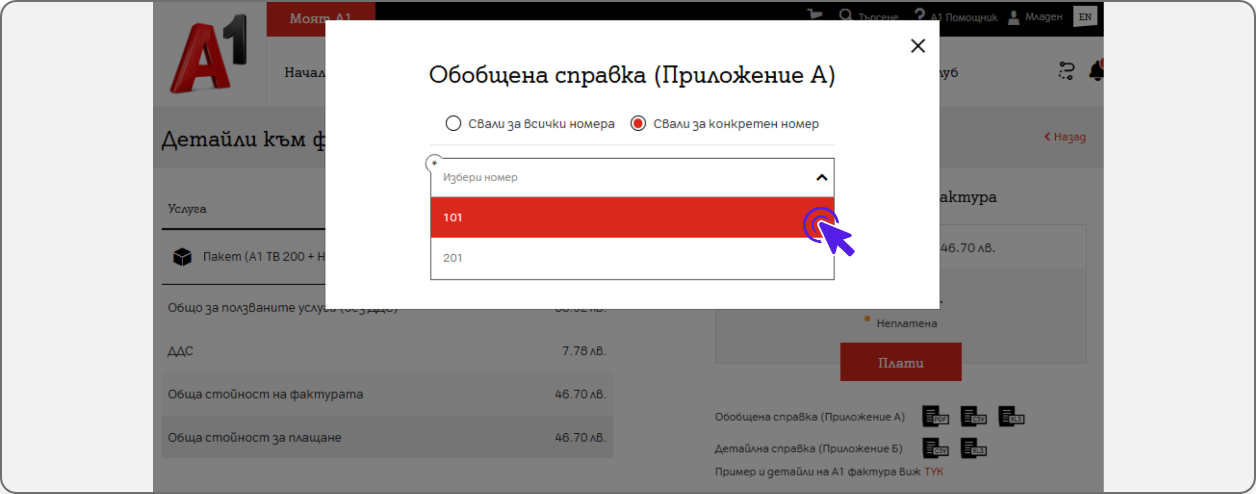 invoice-web5