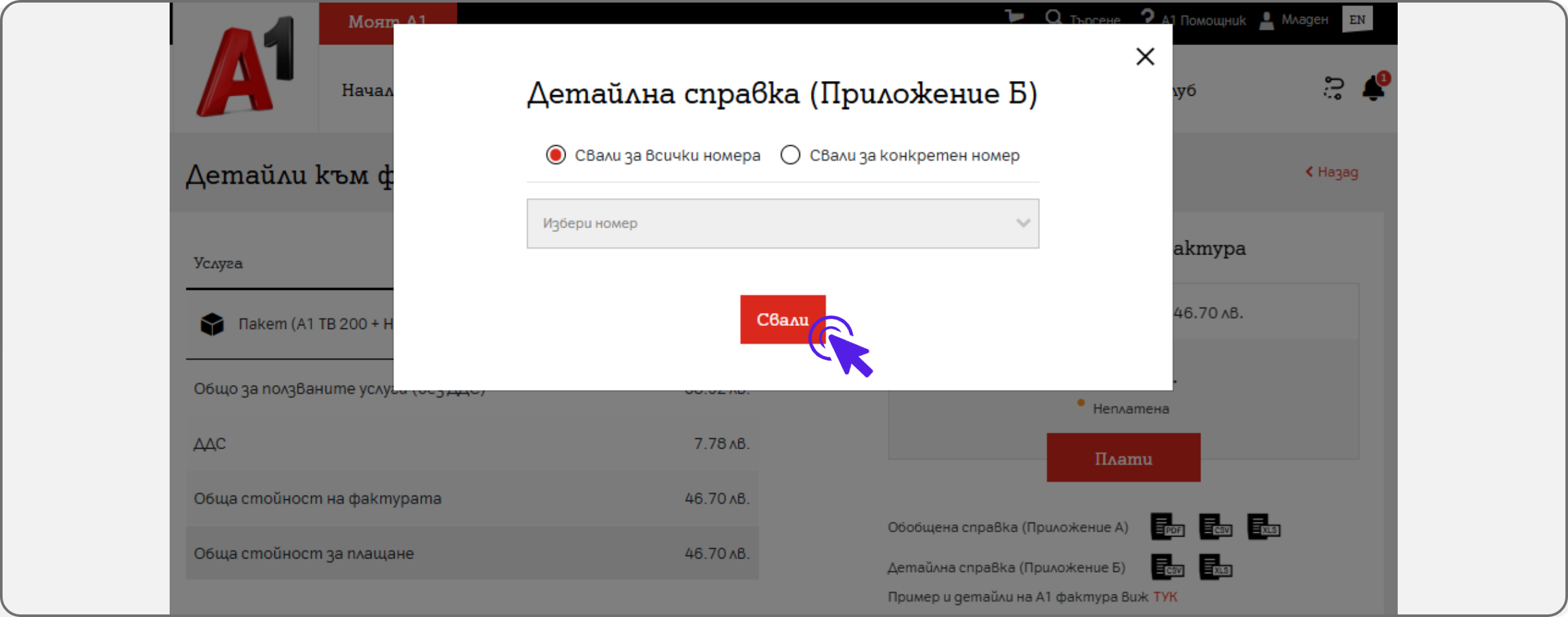 invoice-web6