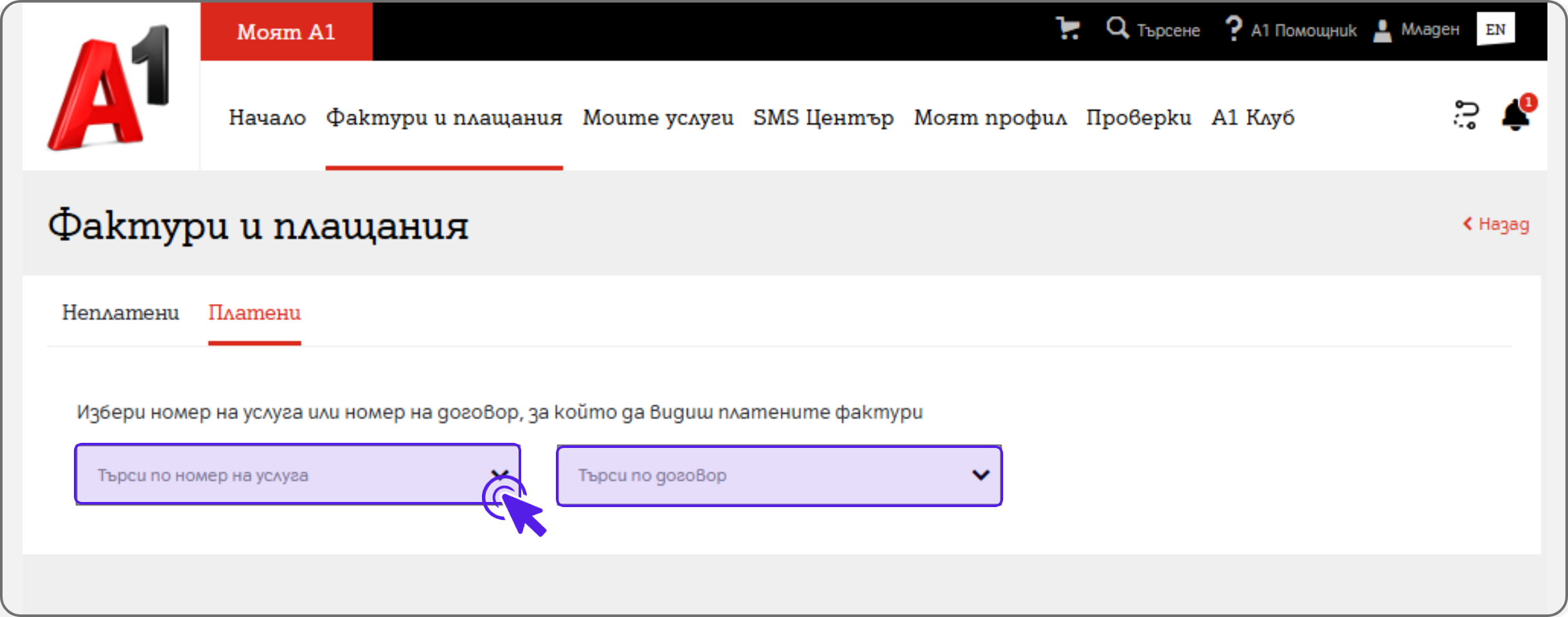 invoice-web8