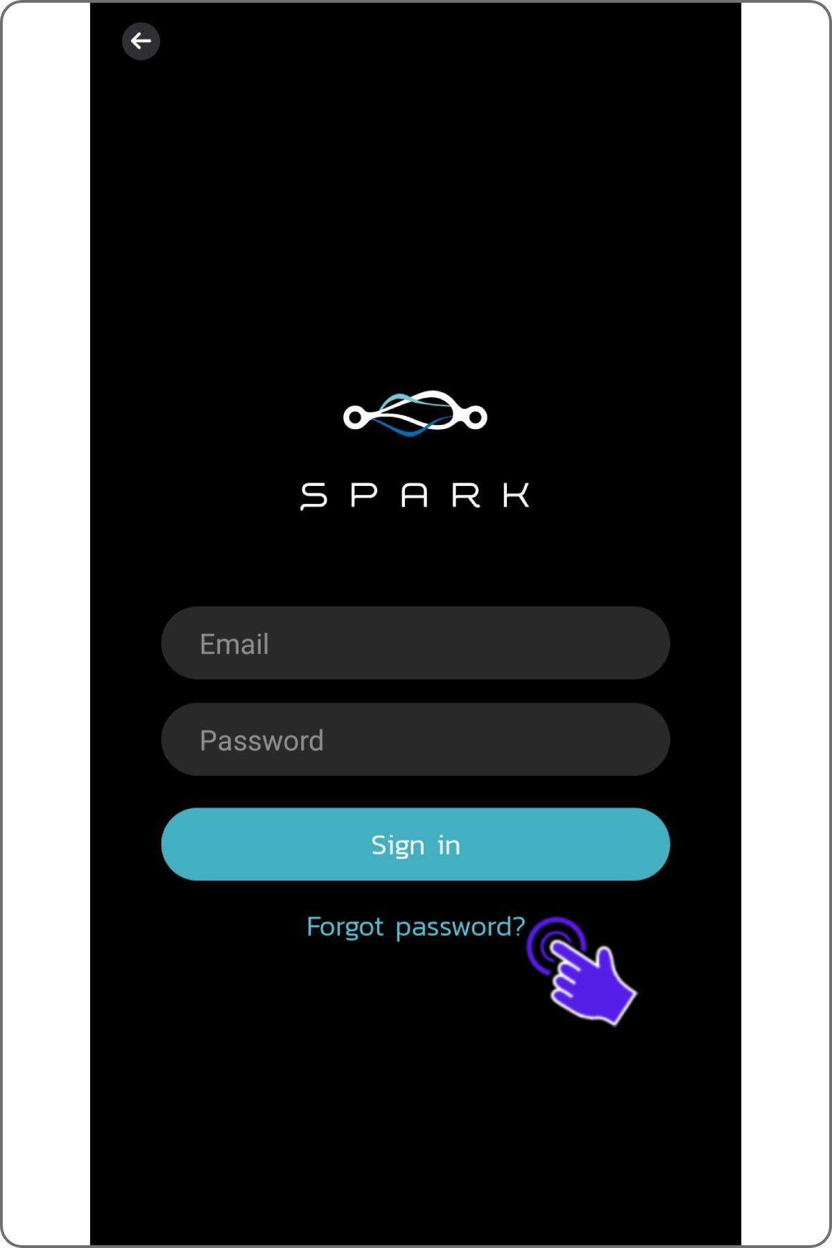 spark17