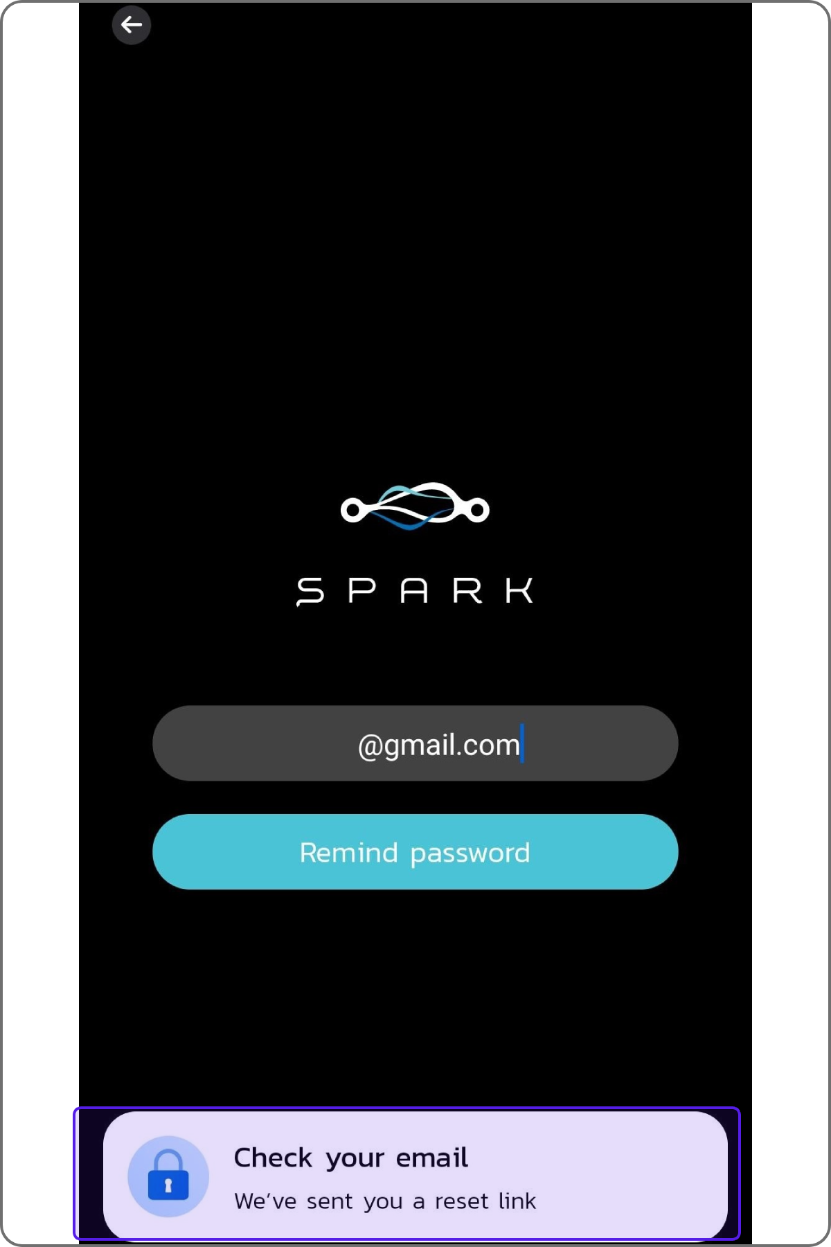 spark19